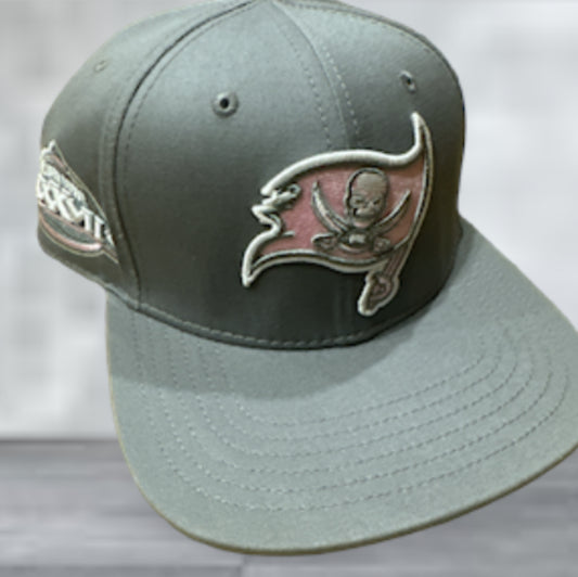 Buccaneers Pro Standard Pink Grey Snapback hat